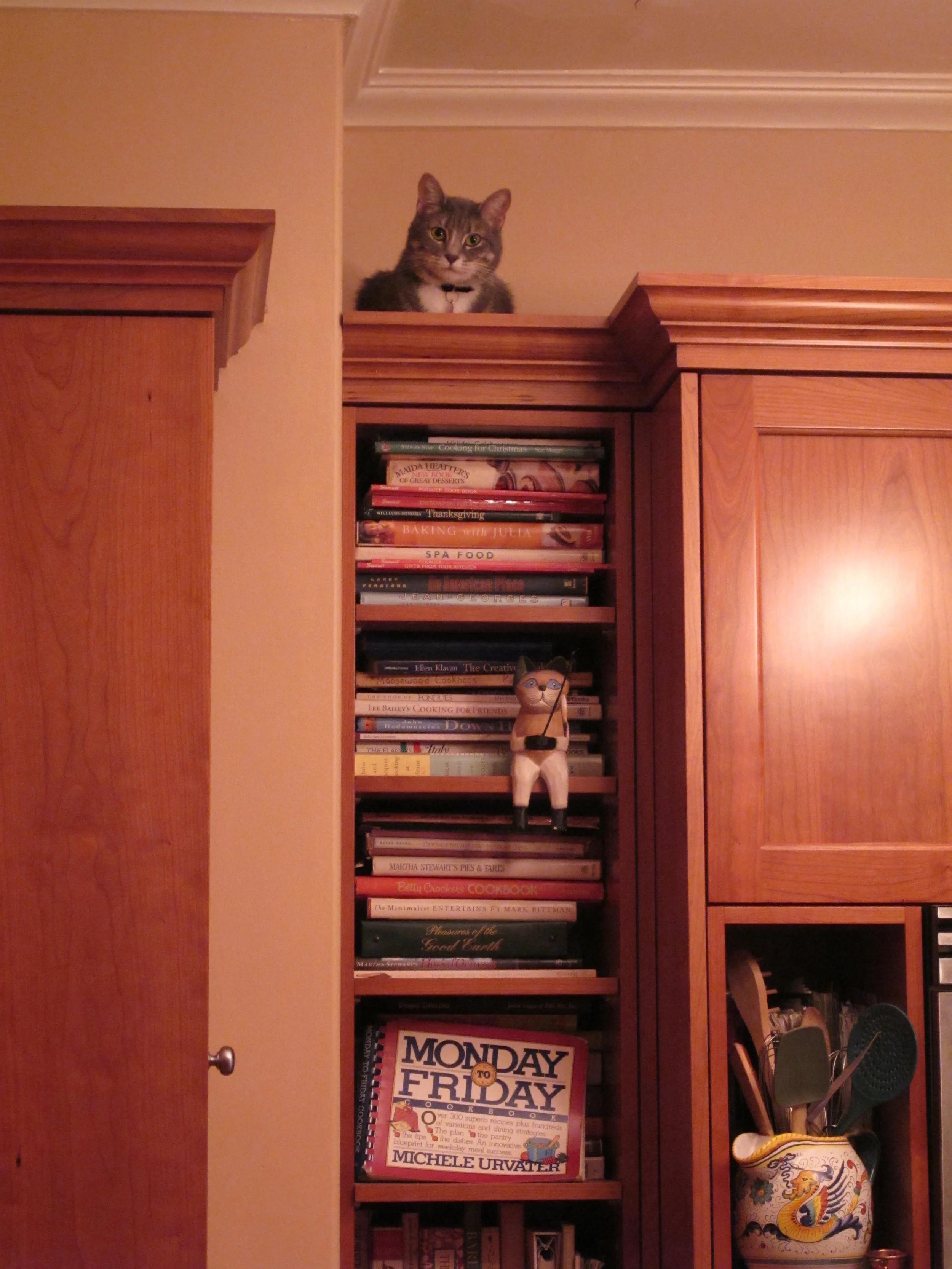  Coco is quite the climber 