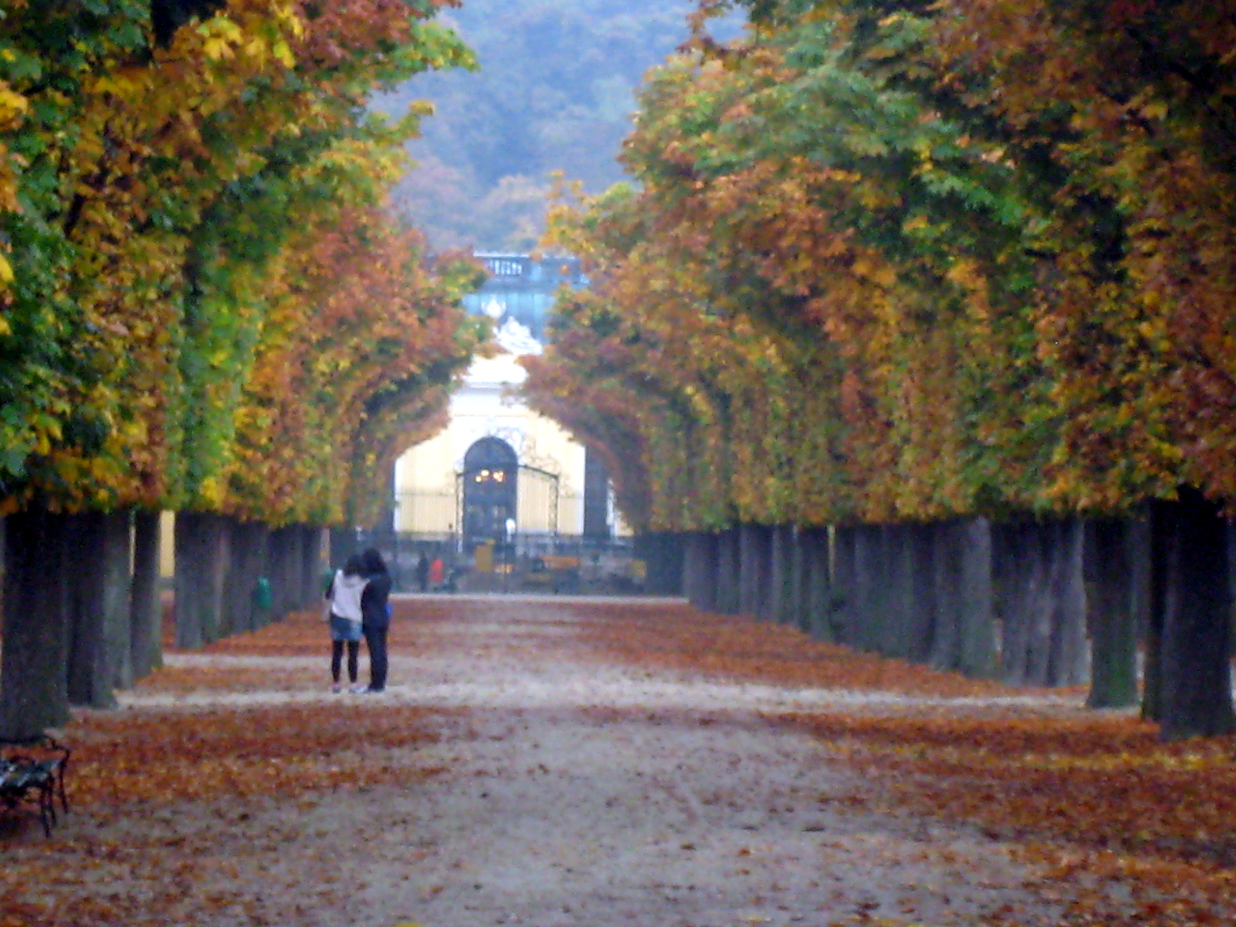 Beautiful fall colors near Schonbrun