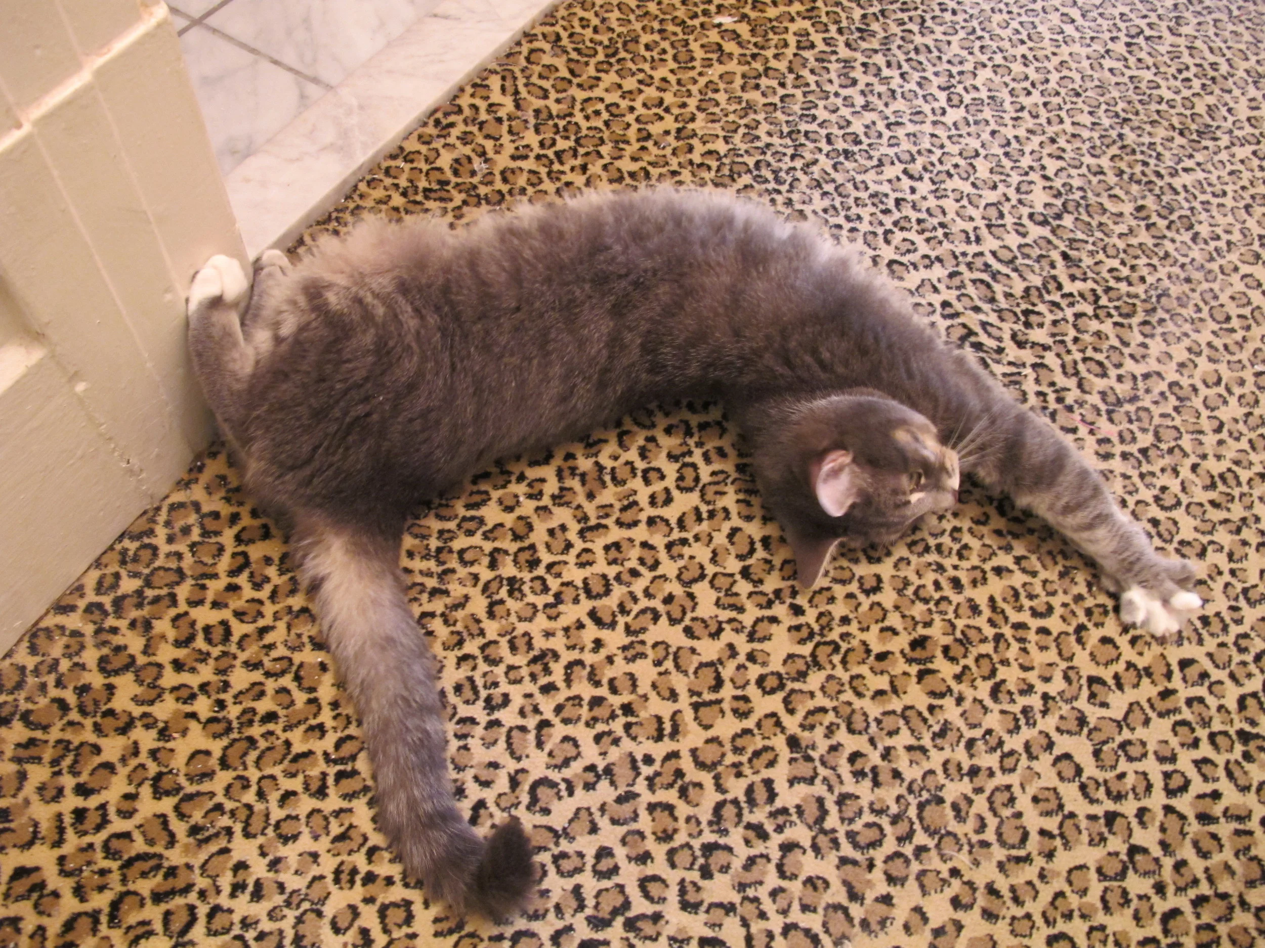  There's nothing like a good stretch 