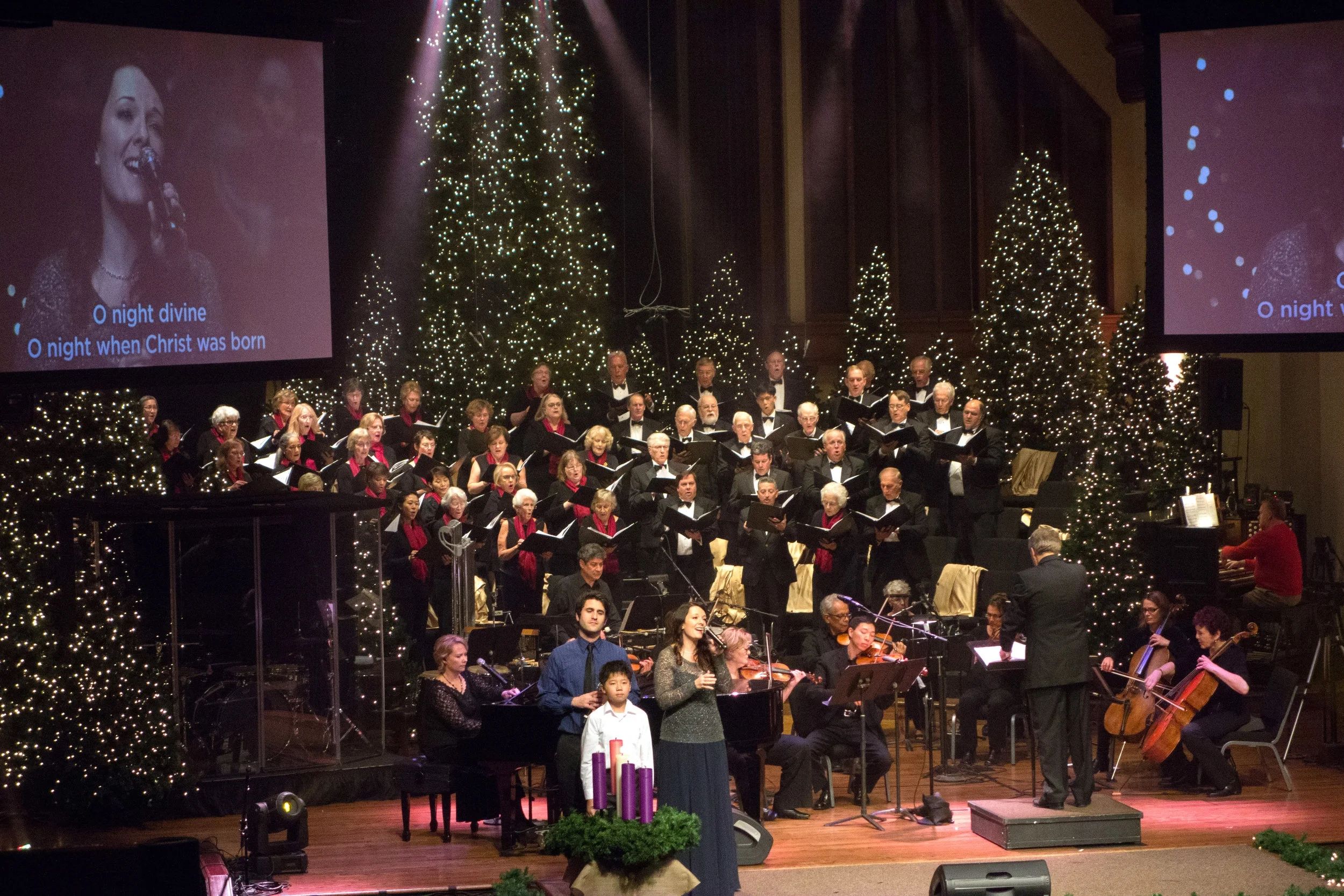  Christmas Season 2015 