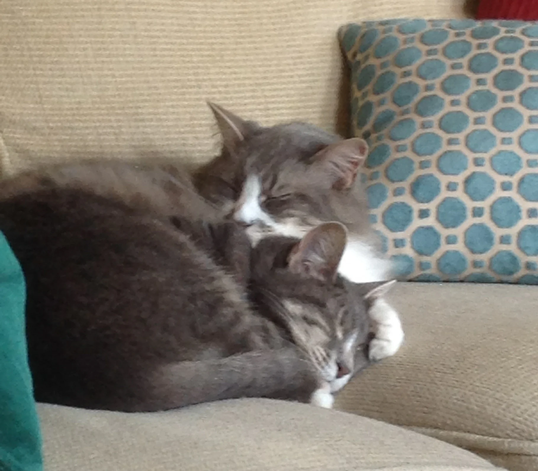  Snuggling sisters 
