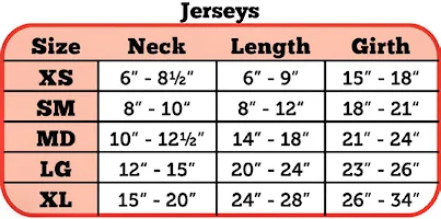 NFL Team Jerseys