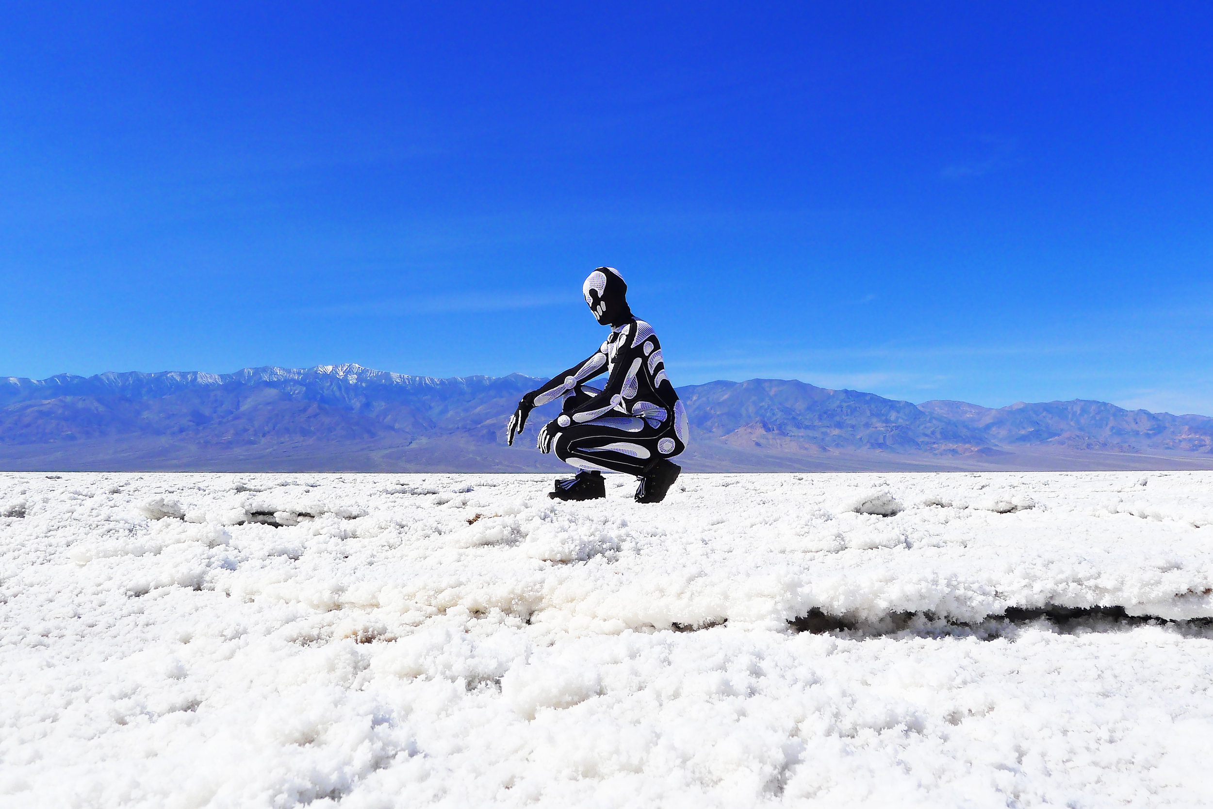 DV_Skeleton_Saltflats_02_med.jpg