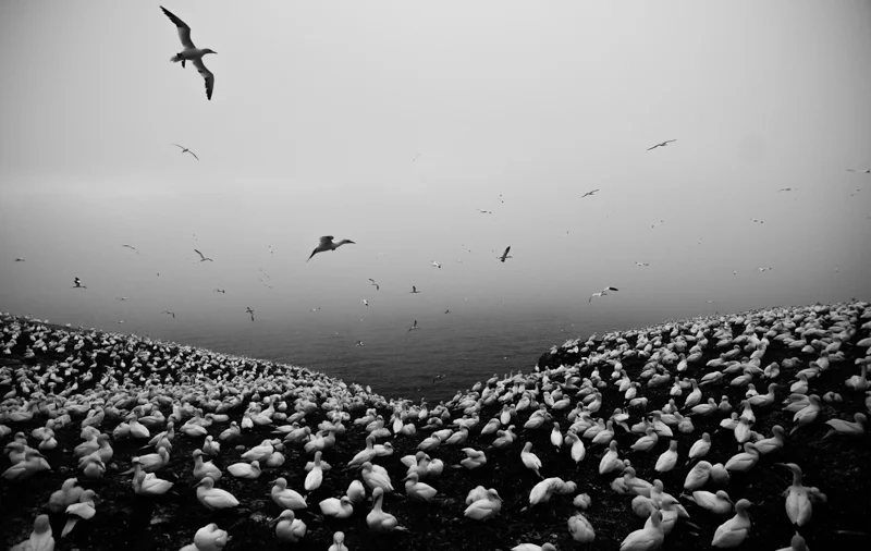 FrancesBuerkens_Photography&Marketing_Gaspe-67.jpg