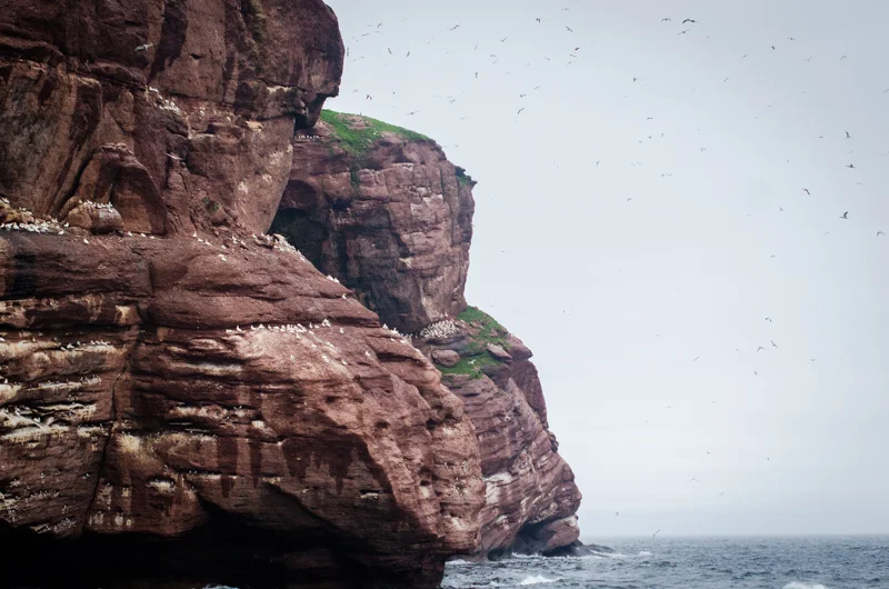 FrancesBuerkens_Photography&Marketing_Gaspe-62.jpg