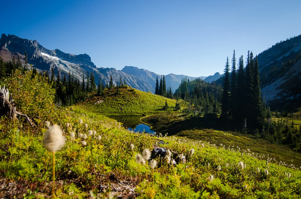 FrancesBuerkensPhotography_CascadeMountains-6.jpg