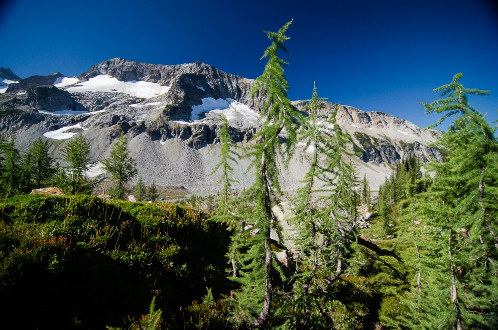 FrancesBuerkensPhotography_CascadeMountains-9.jpg