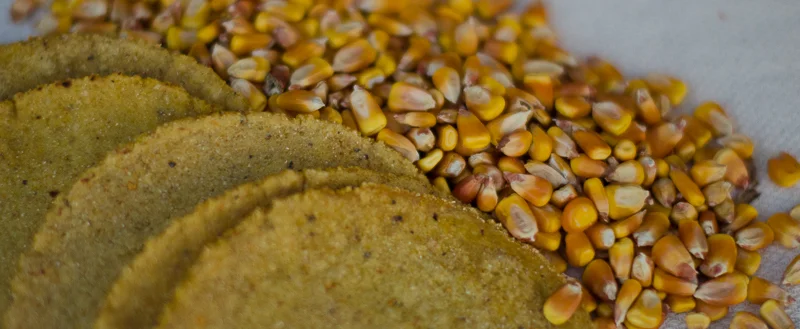 Tortilleria_Pachanga_Web-11.jpg