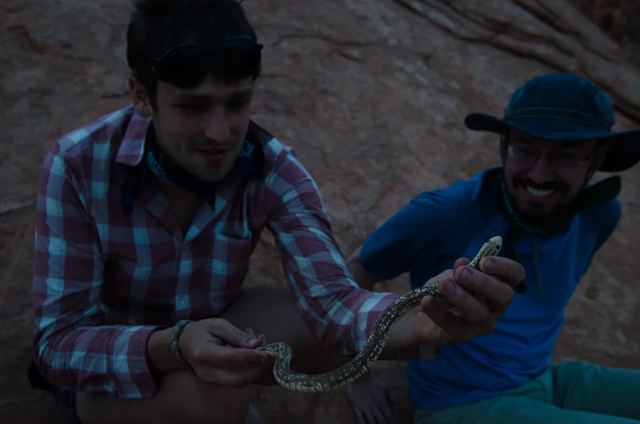Will's birthday snake.