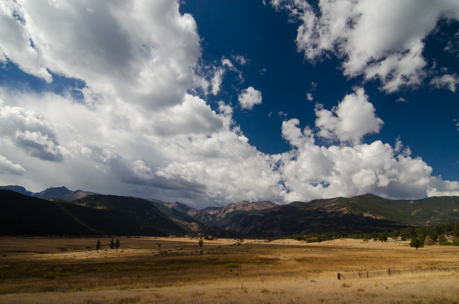 Elk bask in the field while the clouds grow increasingly ominous. 