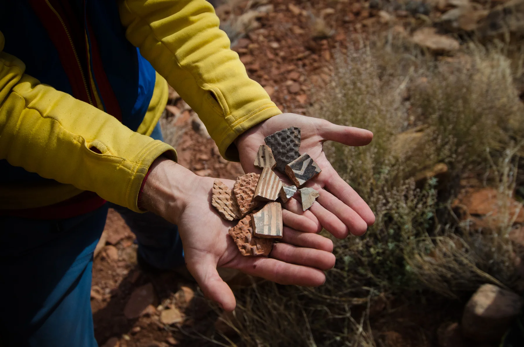 Anasazi pottery shards.