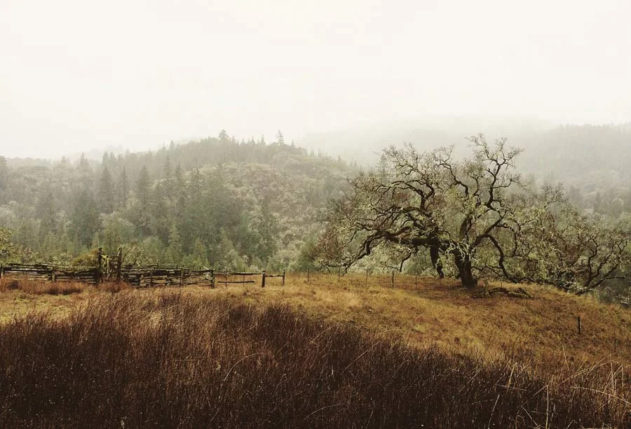 Mendocino County, California