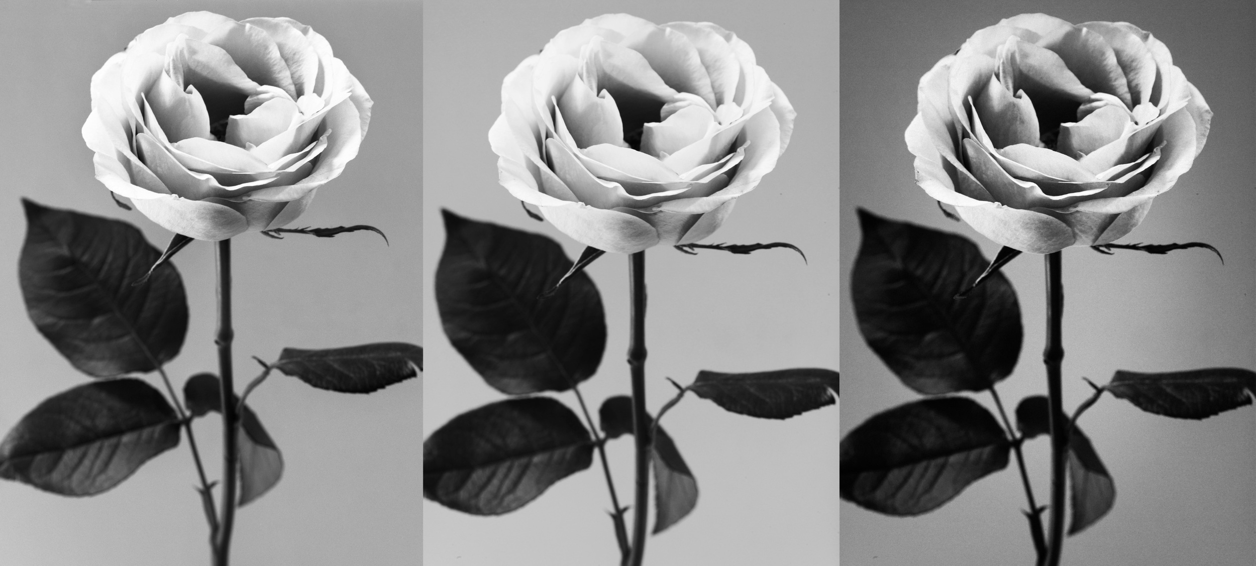 http://annstreetstudio.com/
