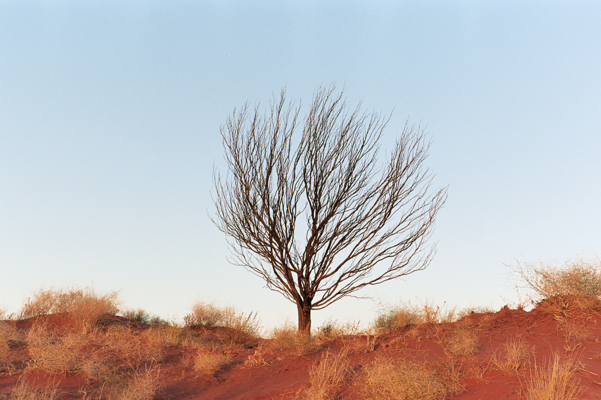 20190603+-+Roll+297+-+34-Nick-Bedford,-Photographer-Australia,+Camping,+Desert,+Leica+M7,+Northern+Territory,+Uluru,+Voigtlander+35mm+F2+Ultron.jpg
