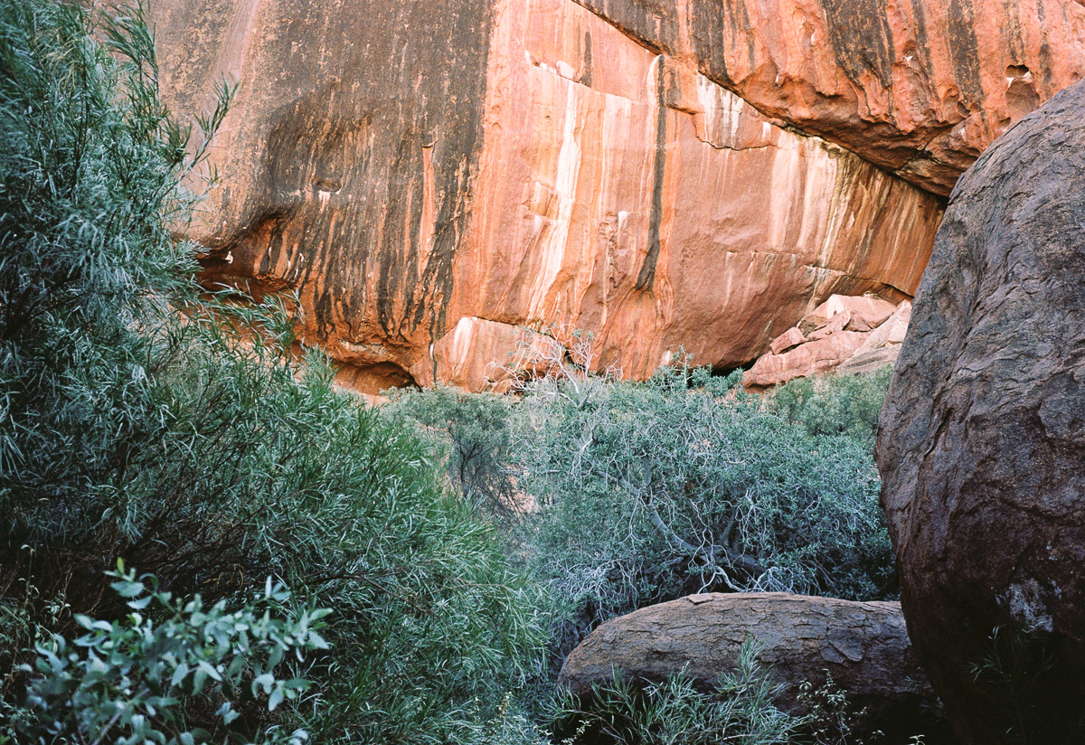 20190606+-+Roll+299+-+05-Nick-Bedford,-Photographer-Australia,+Camping,+Desert,+Kodak+Portra+160,+Leica+M7,+Northern+Territory,+Voigtlander+35mm+F2+Ultron.jpg