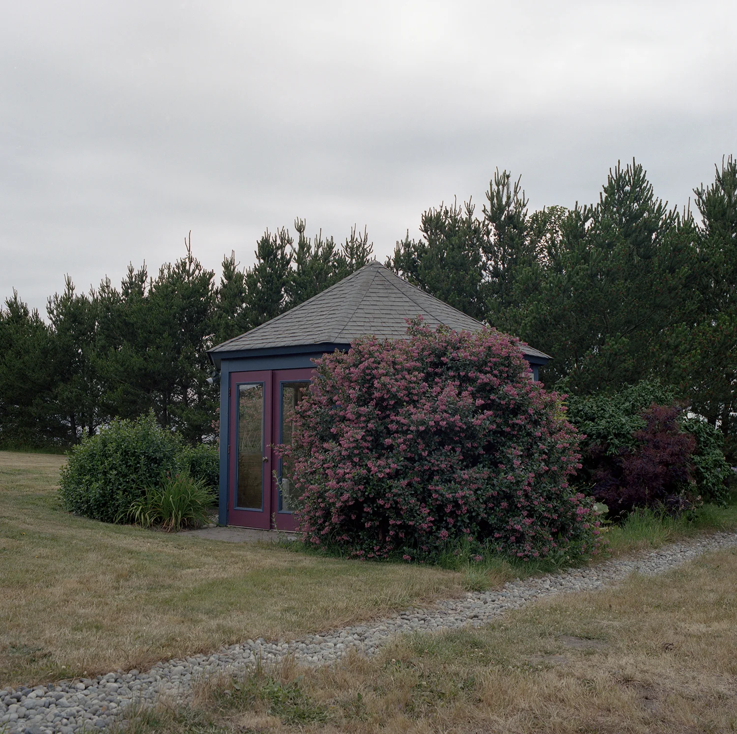Choi-2017-07-Seattle045-WEB.jpg