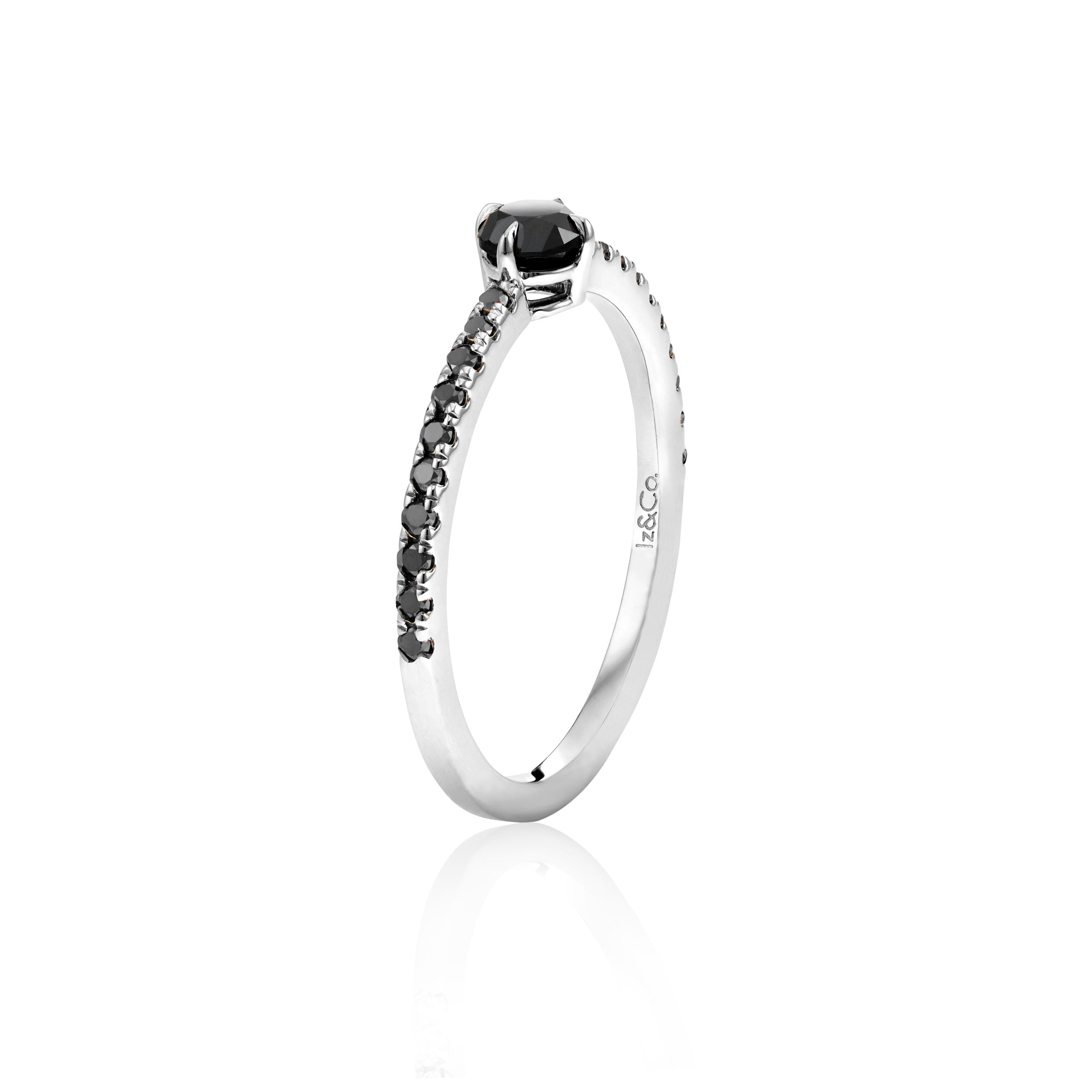 Profile Ring 6 WG Blk Dia.png