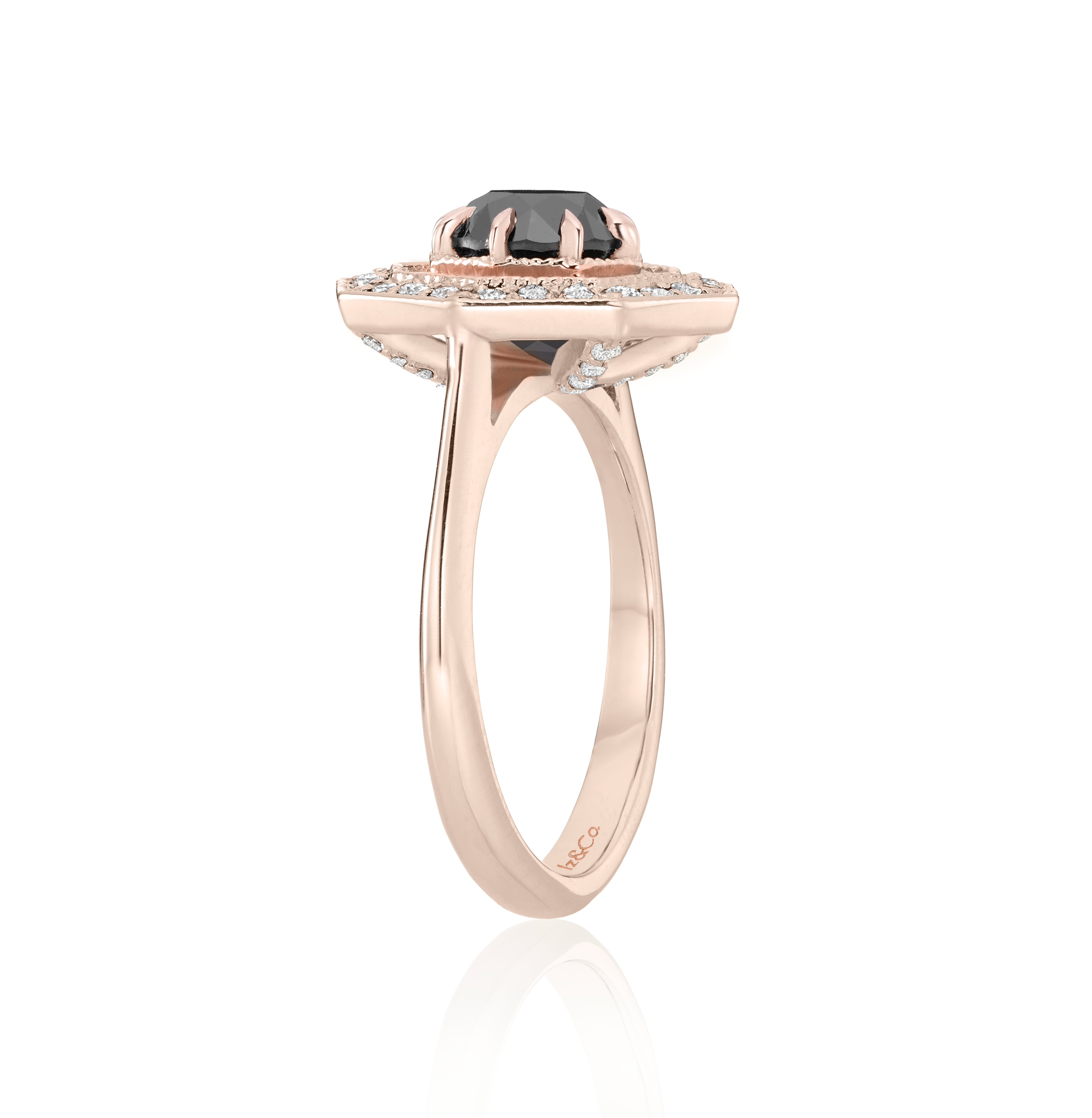 RG W D Profile Ring 3A.png