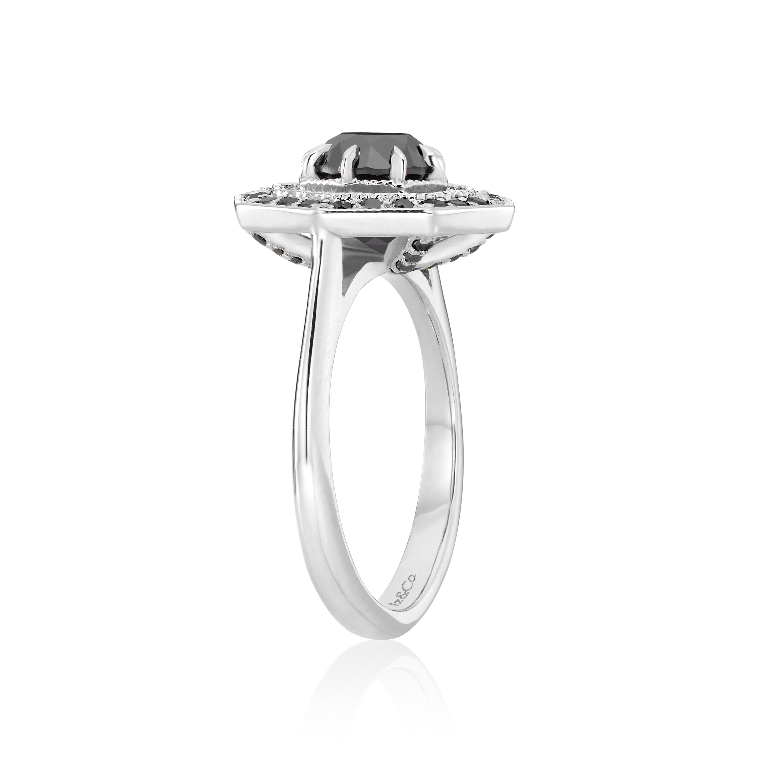 WG BD Profile Ring.png