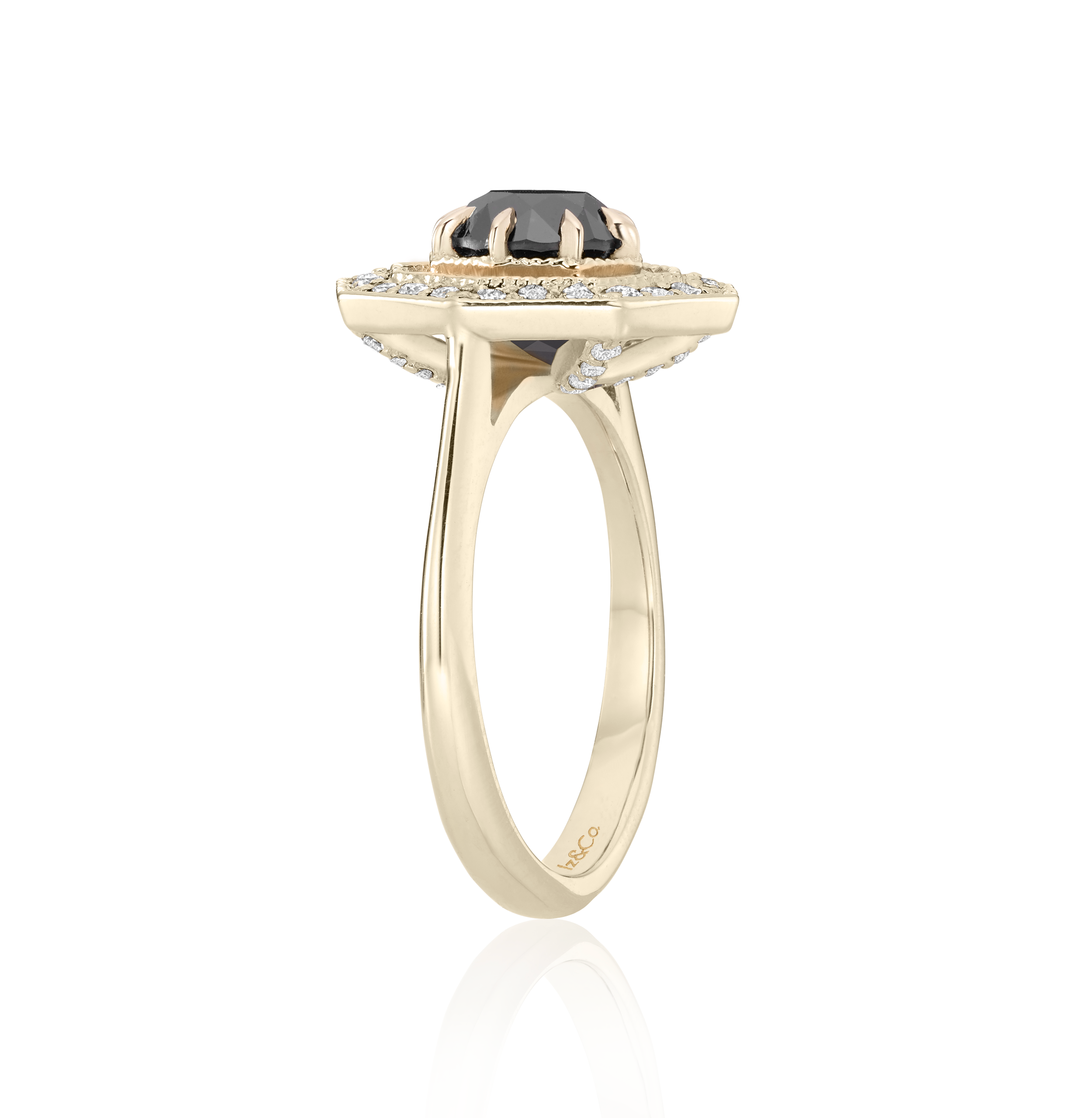 YG W D Profile Ring 3A.png