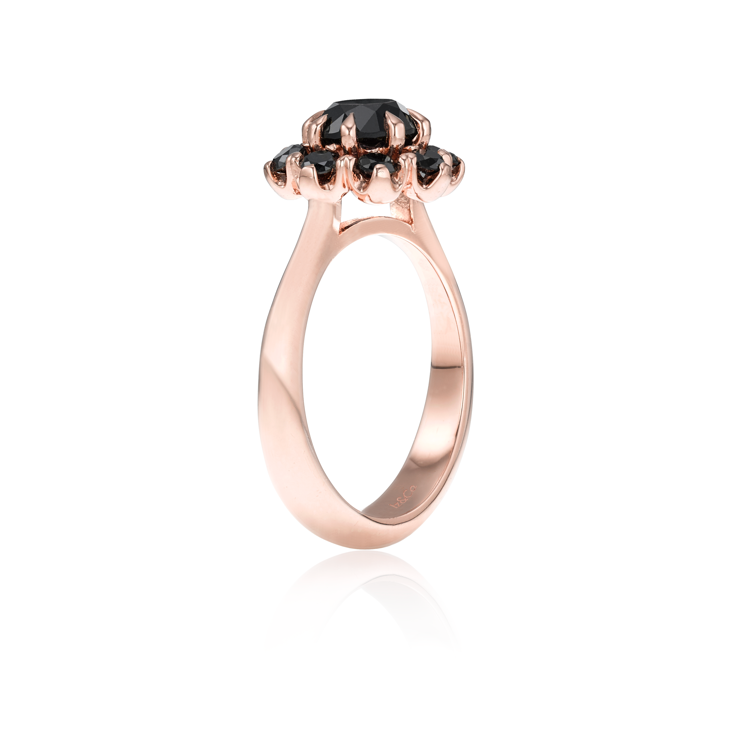 NEW RG BD Profile Ring 2A.png