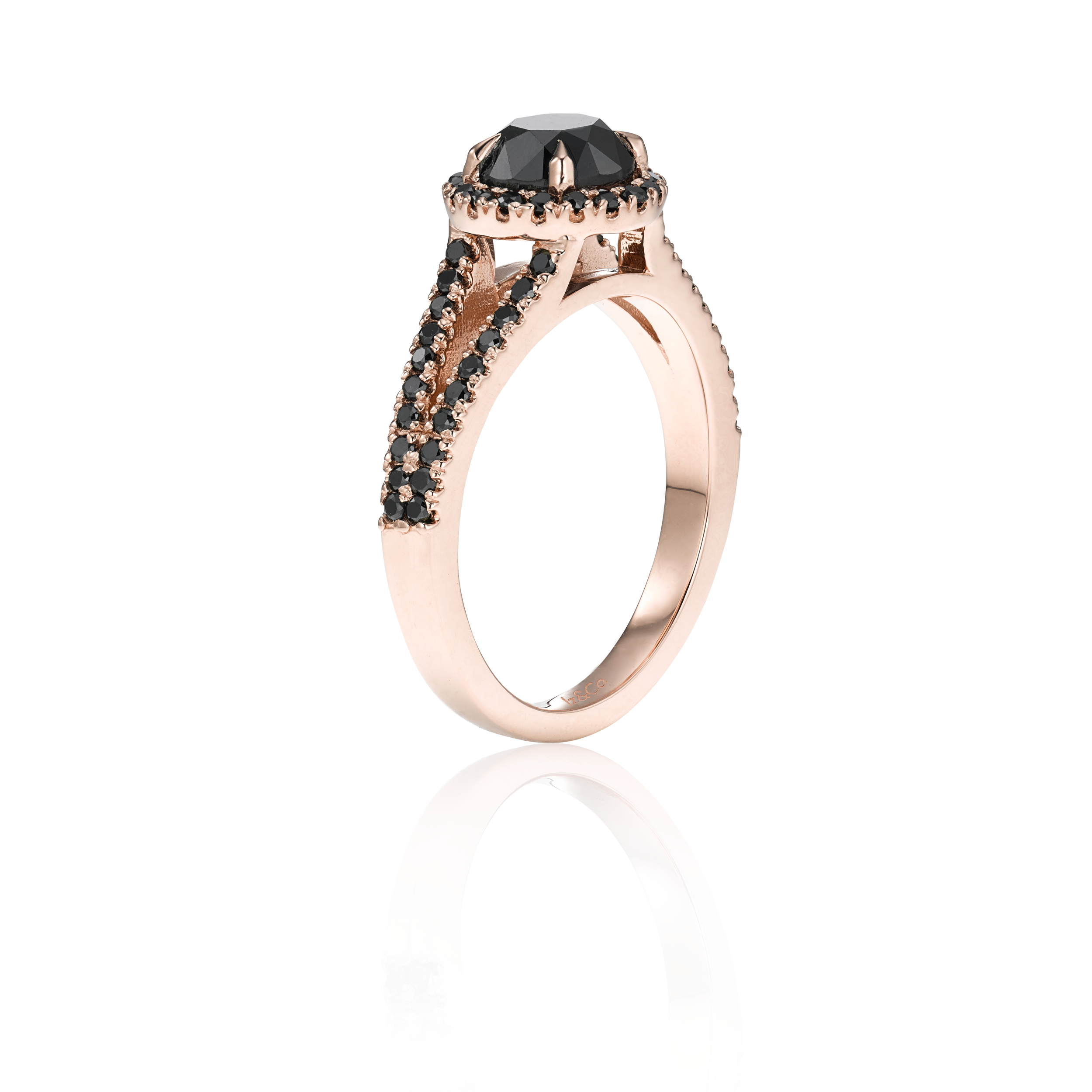 NEW RG BD Profile Ring 1.png