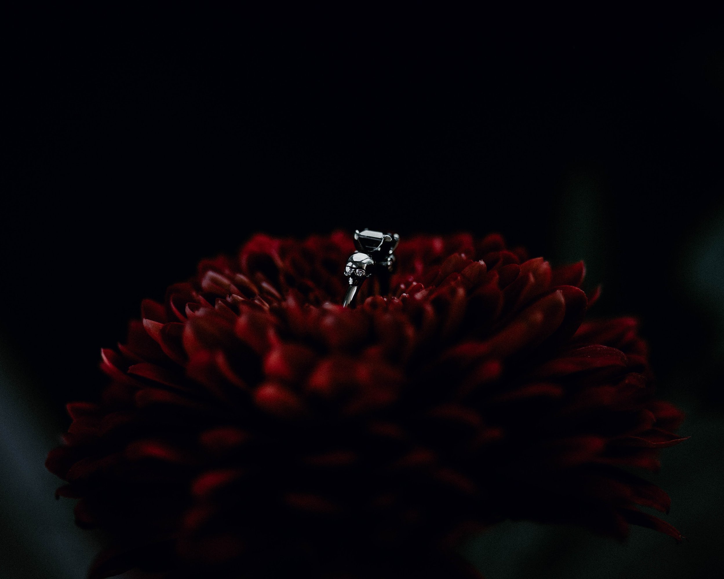 izfinal+%287+of+9%29.jpg