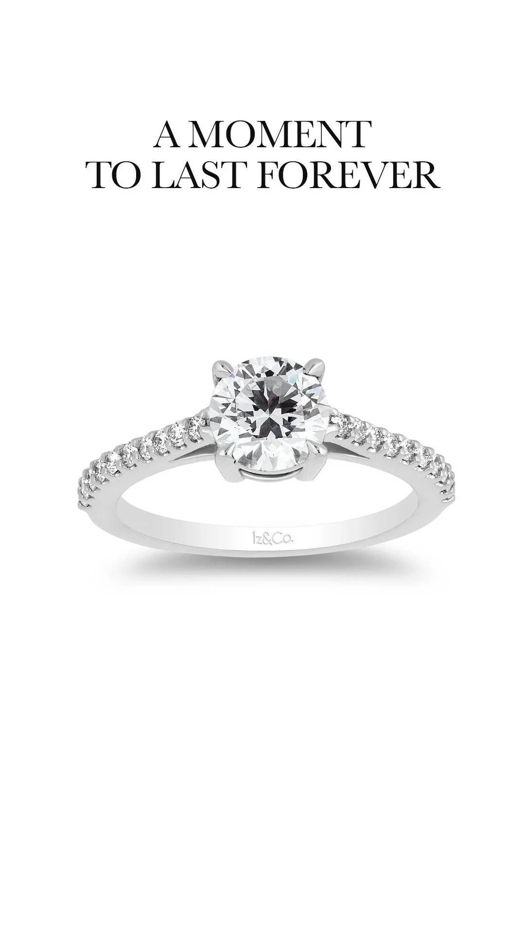 what-are-septum-rings-iz-co