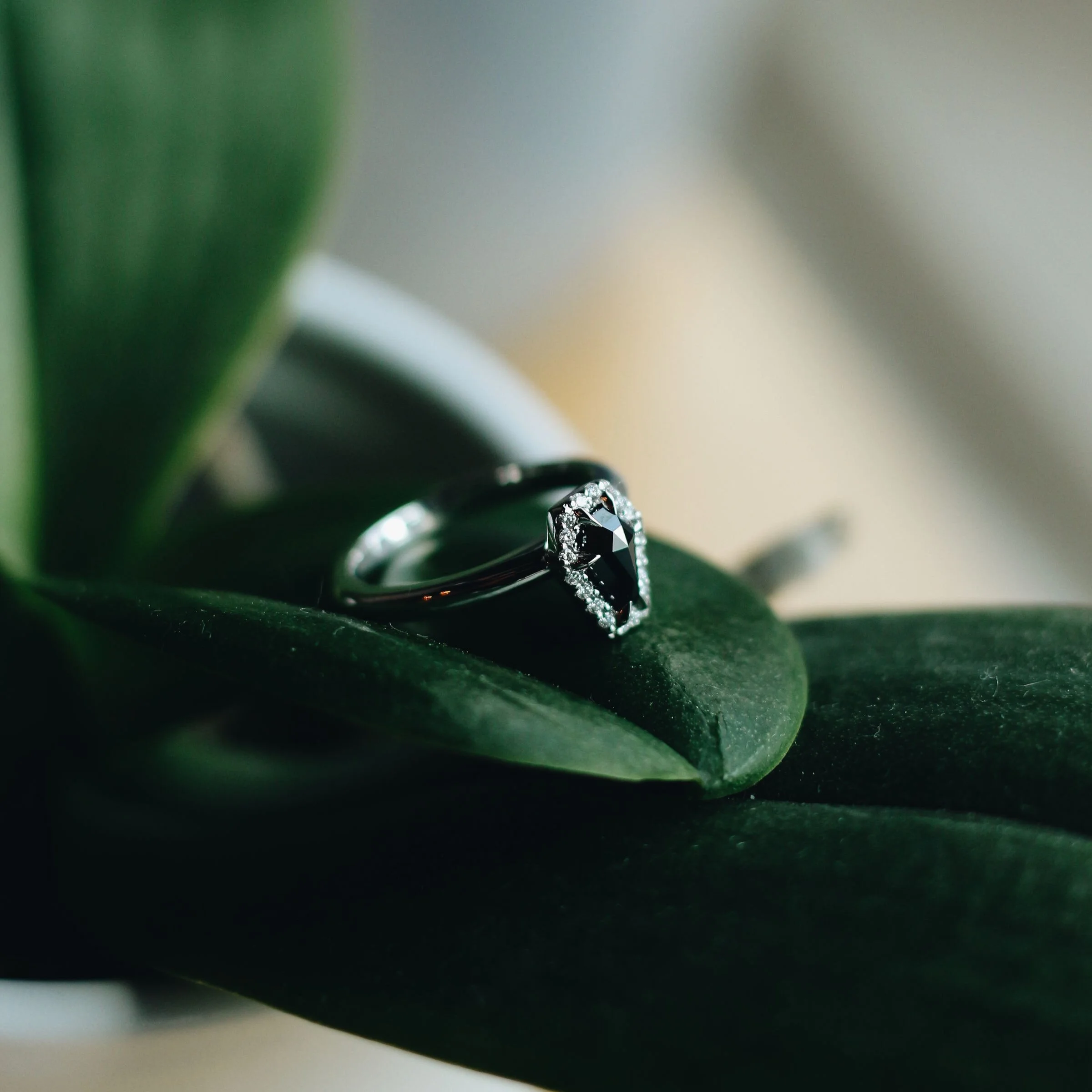 ABFE6B0E-56FE-4580-BBE0-96D0EDB926DC