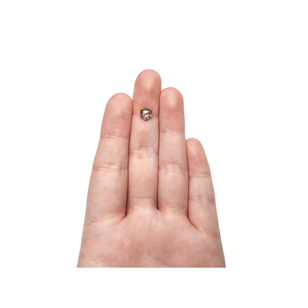 0.90%2BCarat%2BSalt%2Band%2BPepper%2BHexagon%2BRose%2BCut%2BDiamond3.png