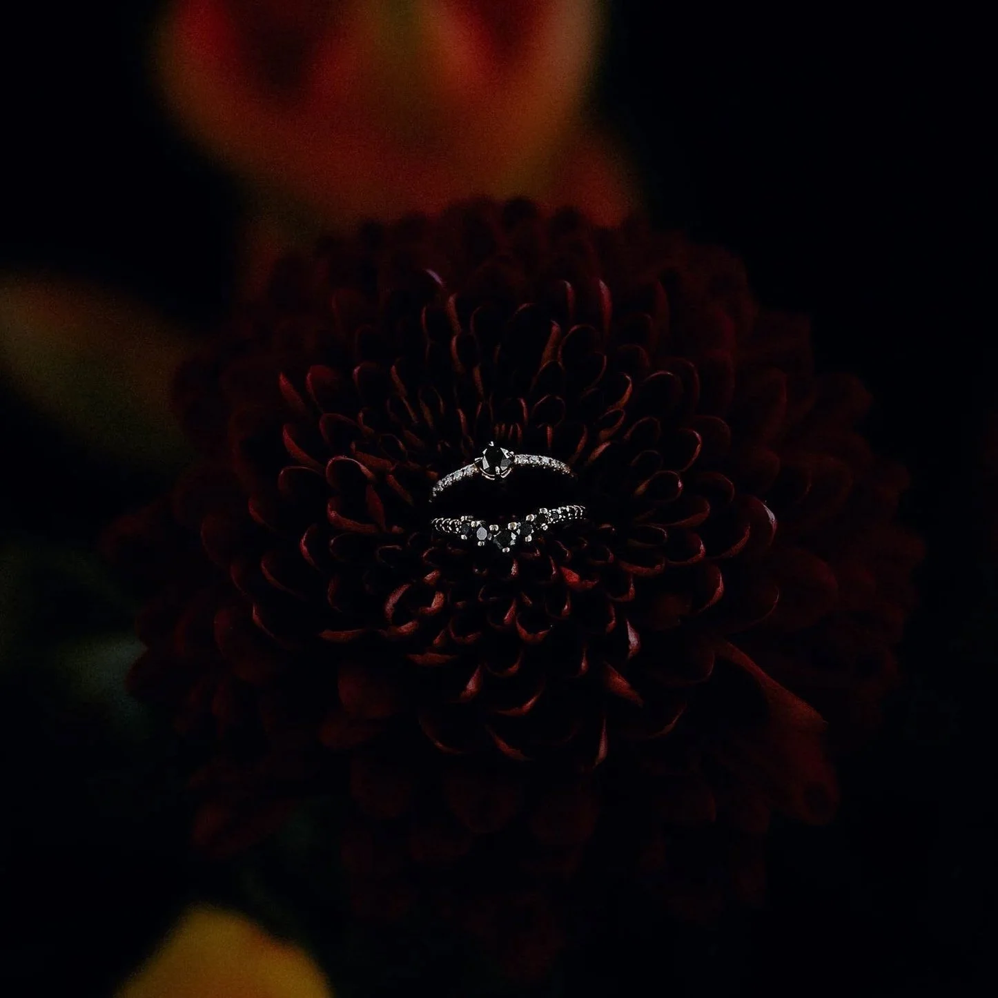 izfinal%2B%25284%2Bof%2B9%2529.jpg