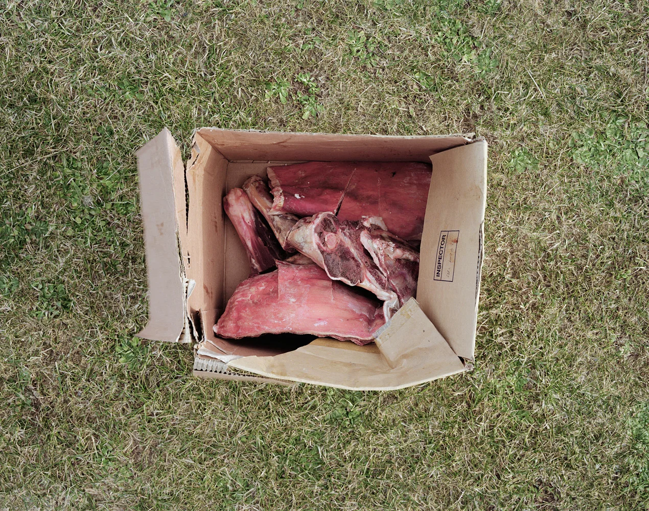 upload_meat.jpg