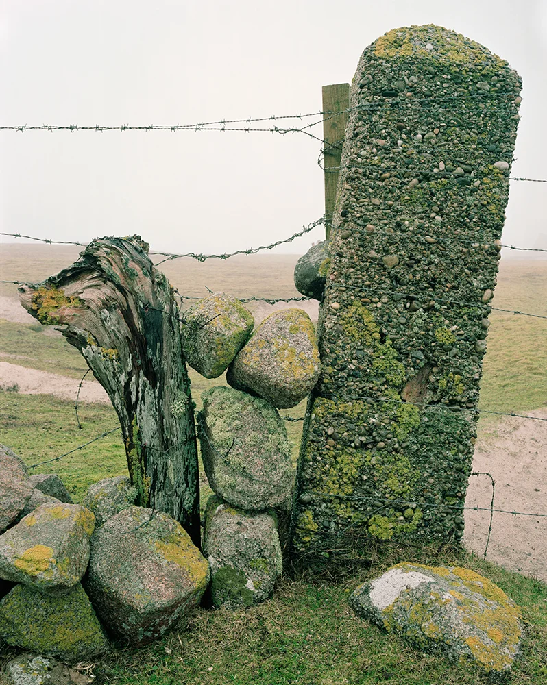 wall_with_wood.jpg