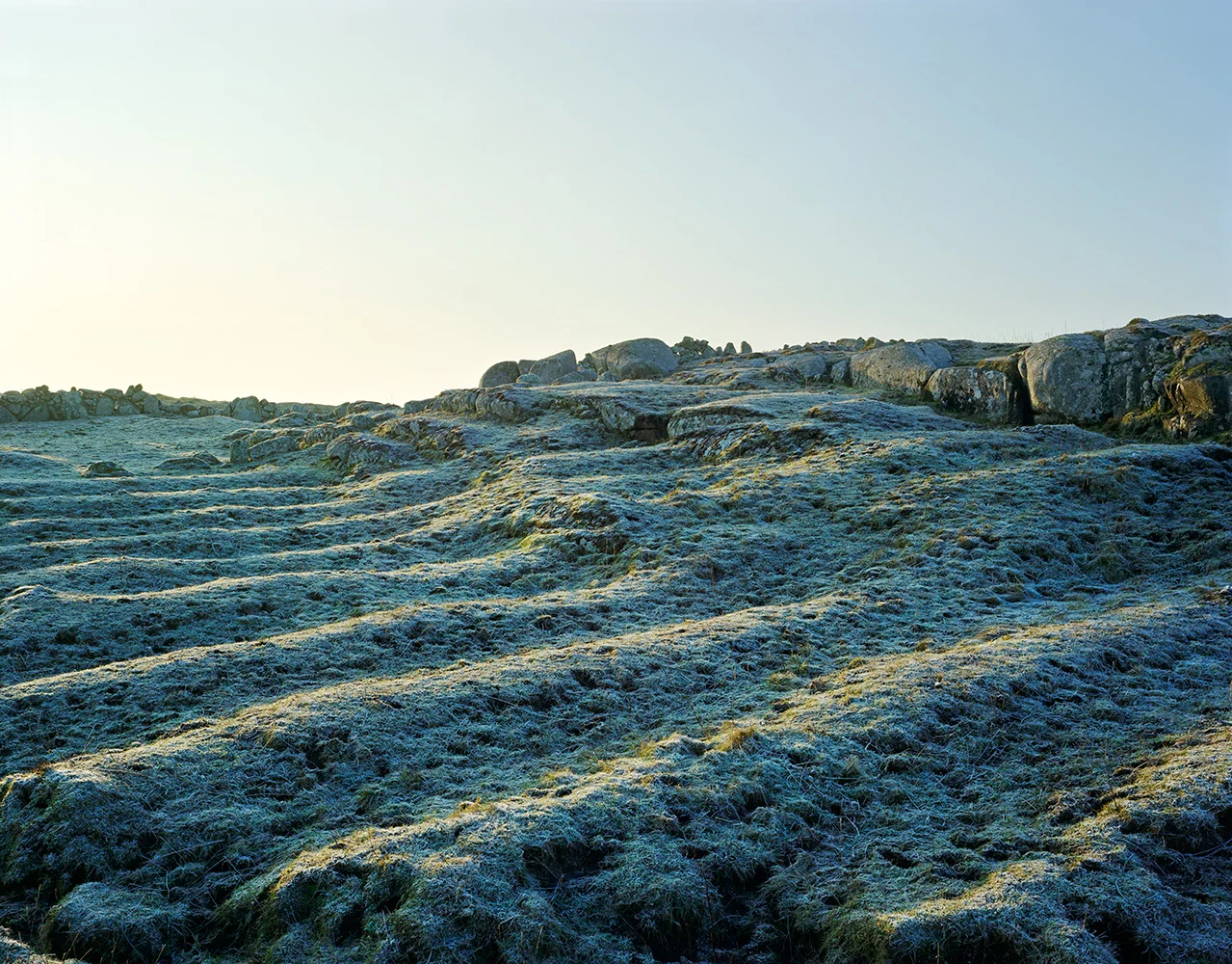 ridges_frost.jpg
