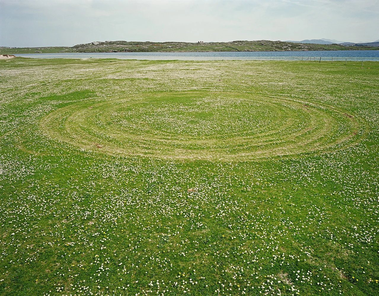 0666-Field-Circle-01a.jpg