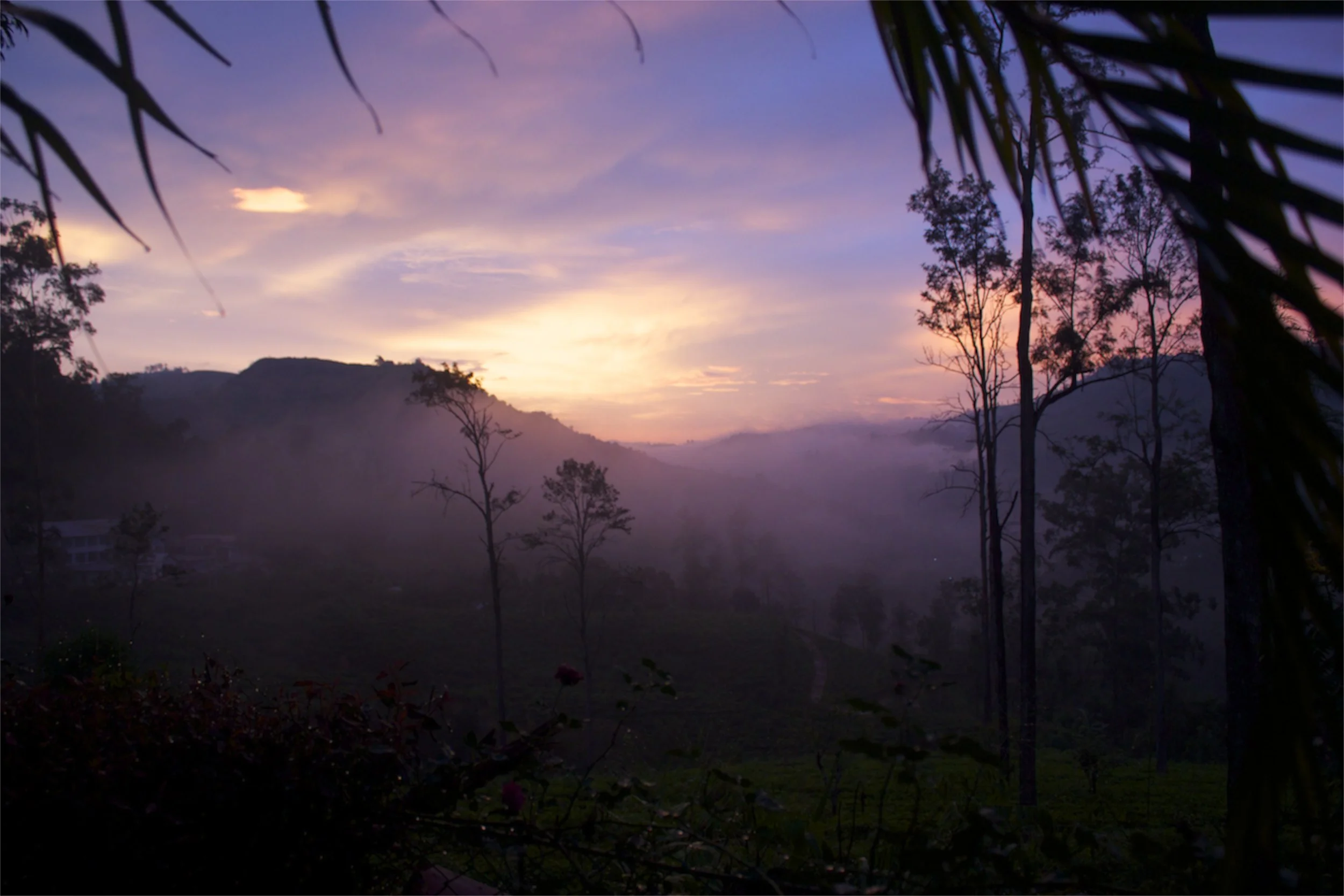 Sri Lankan Sunset.jpg