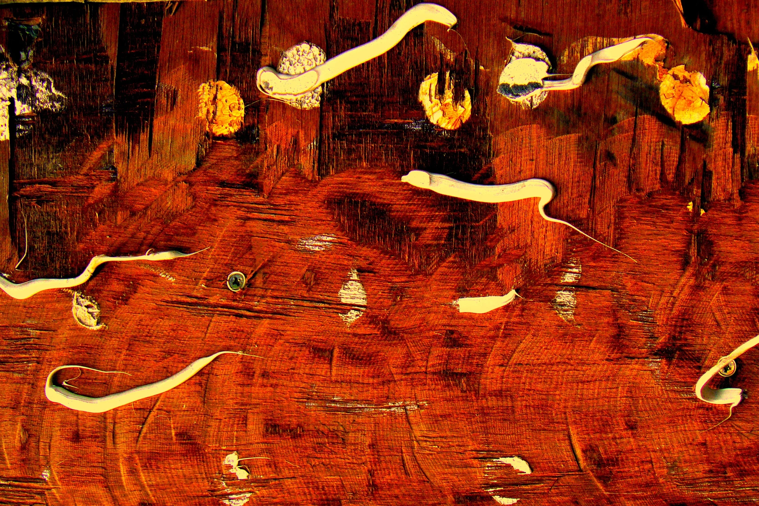 P1200985a) 30x45.JPG