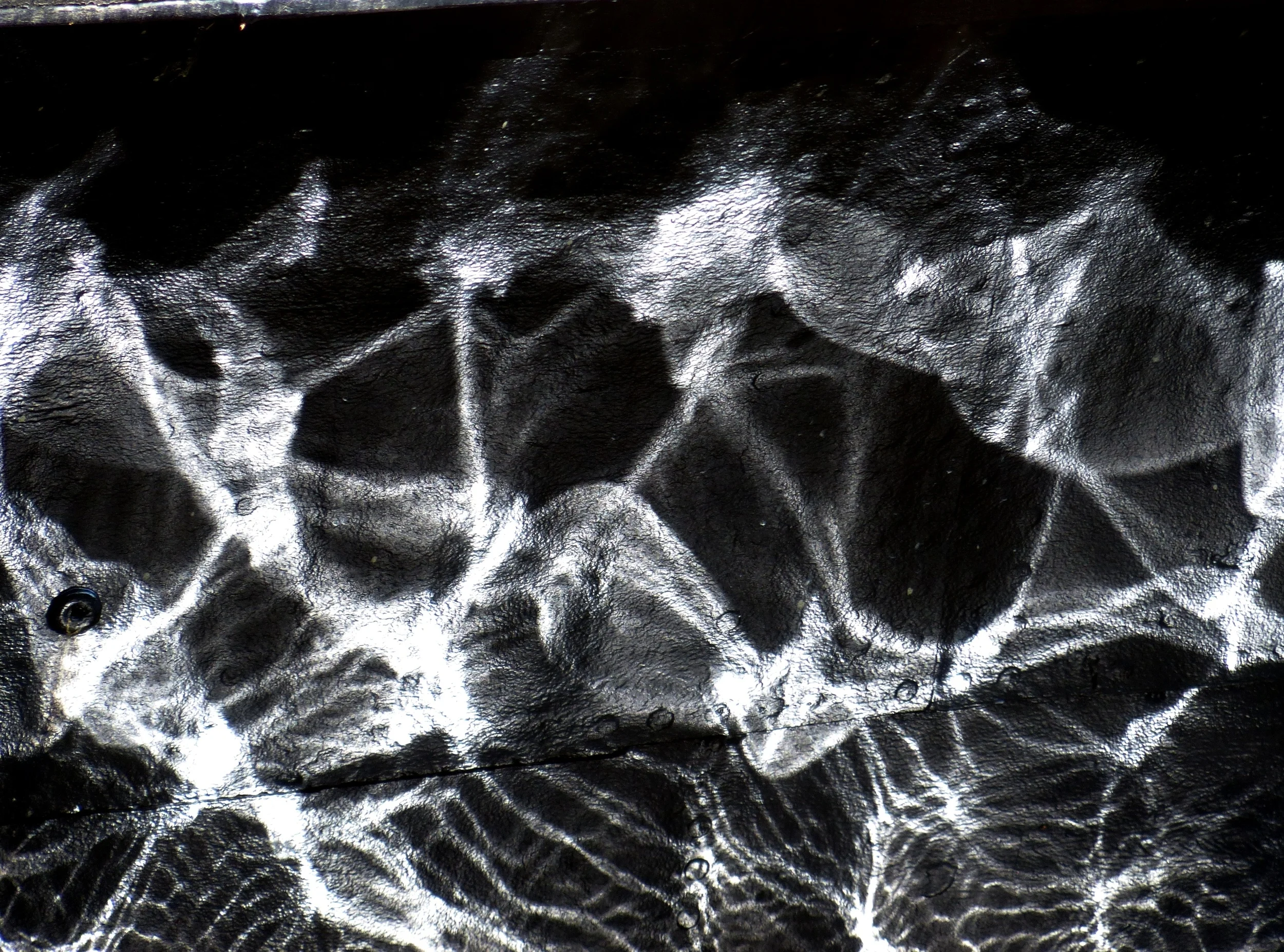 P1010039.jpg