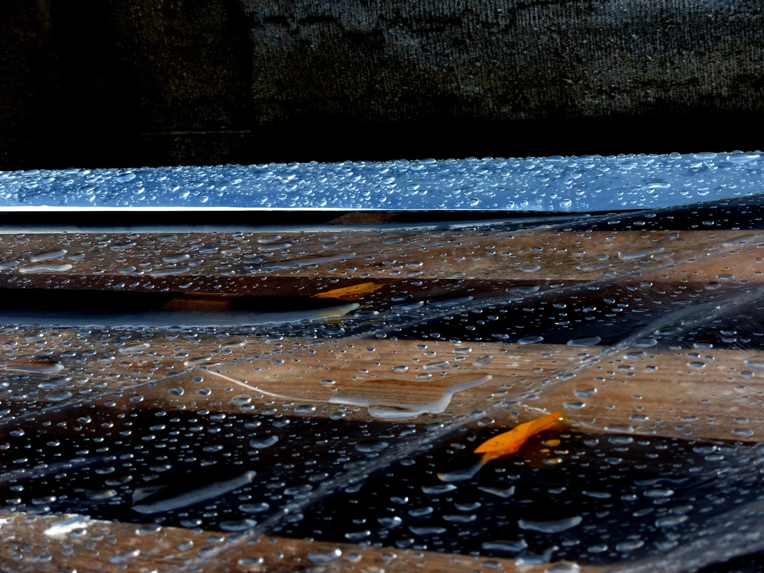 P1060134.jpg
