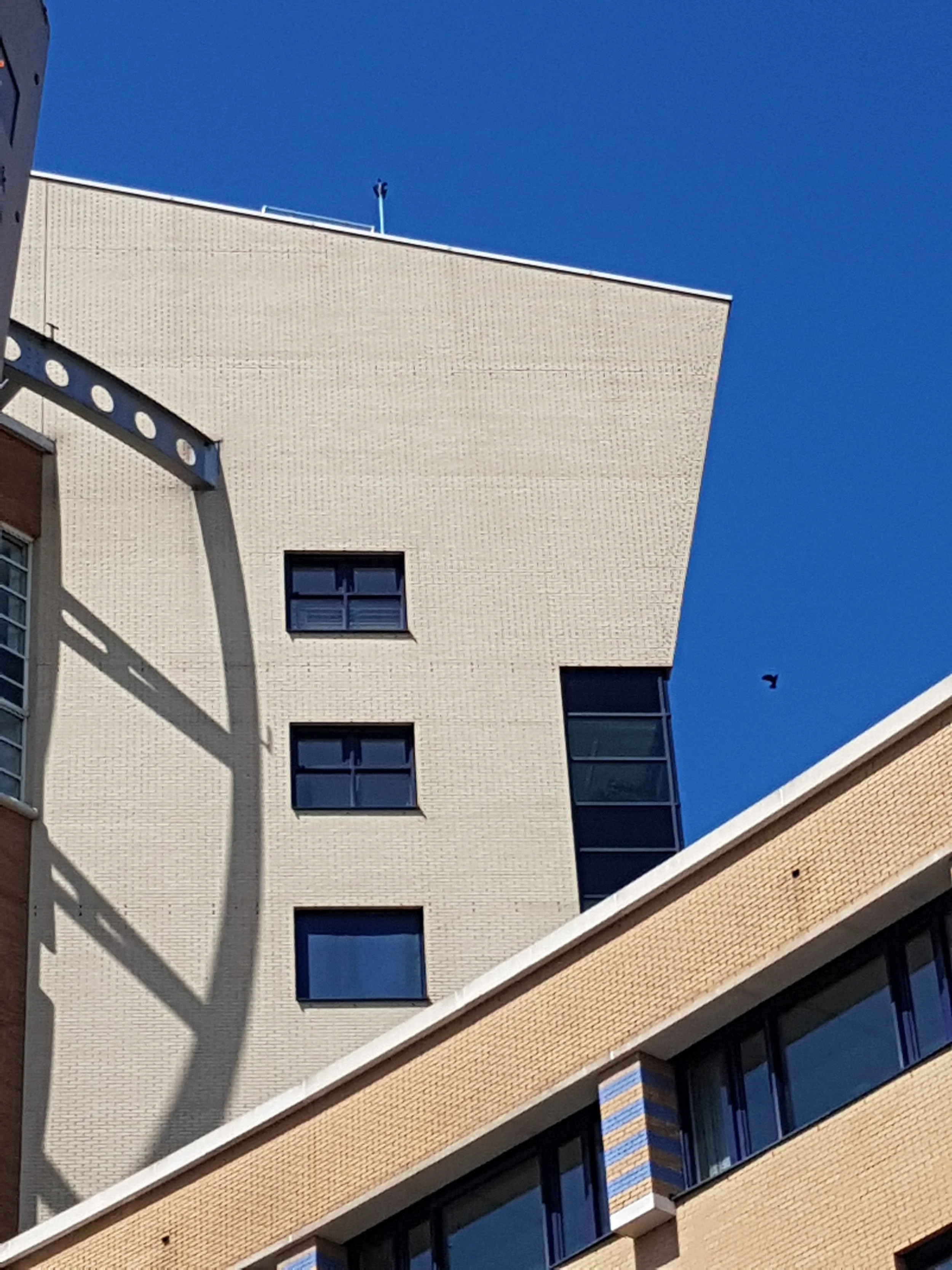 20180511_124347.jpg