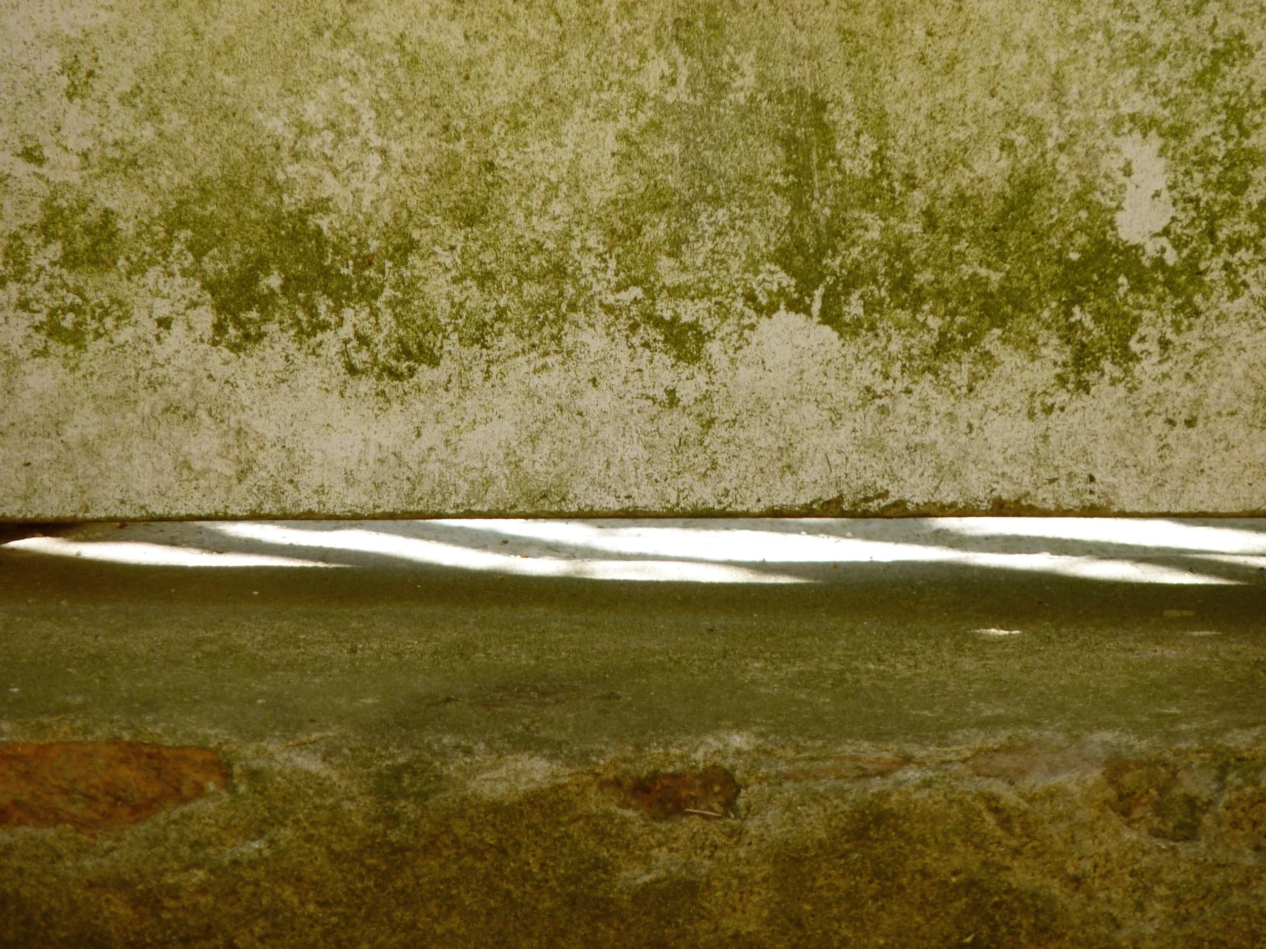 05a.jpg
