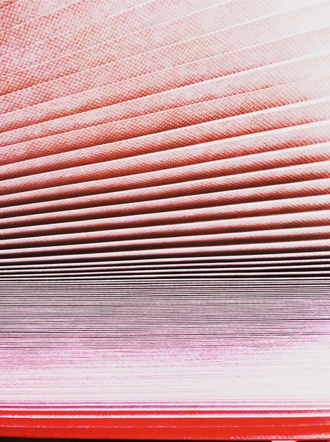 pleated blinds.jpeg