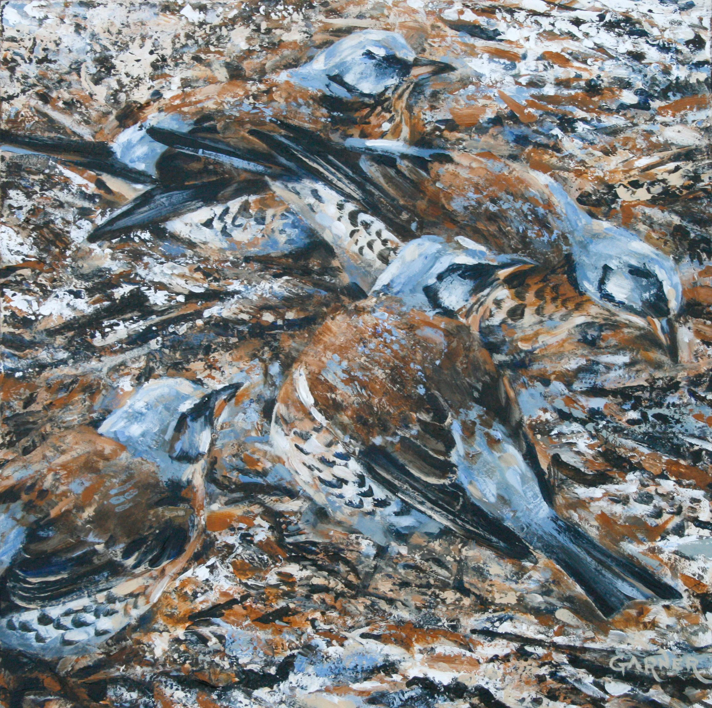 Jackie Garner, Wildlife Art