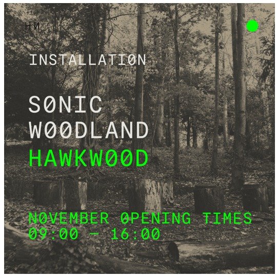 If you haven't made your way to the sonic woodland at @hawkwood_cft yet then you need to. It's a mesmerising experience. Walk or sit amongst the trees and just 🎻 LISTEN. It's open everyday until the end of November from 9AM-4PM, every day and it's f