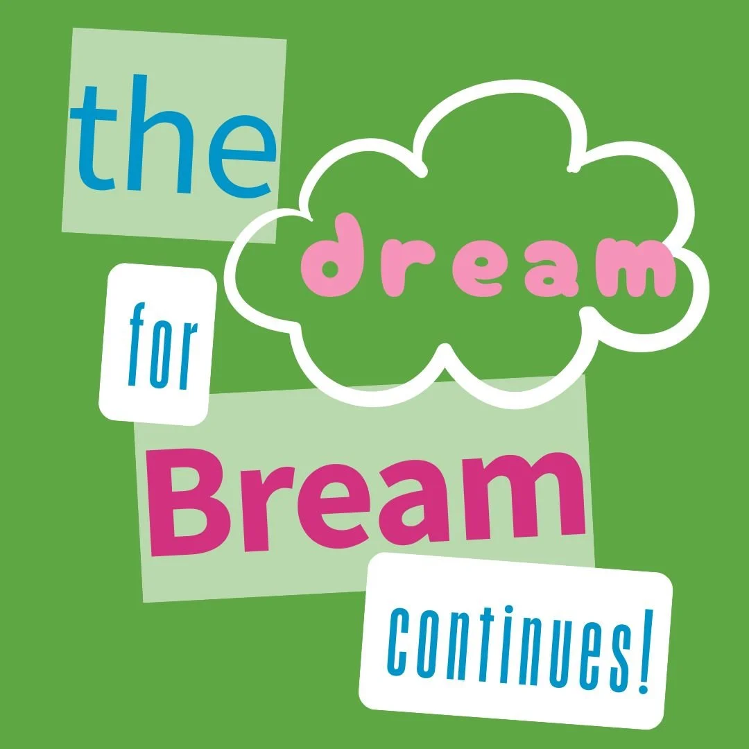 Bream Dream - reflections on 2025