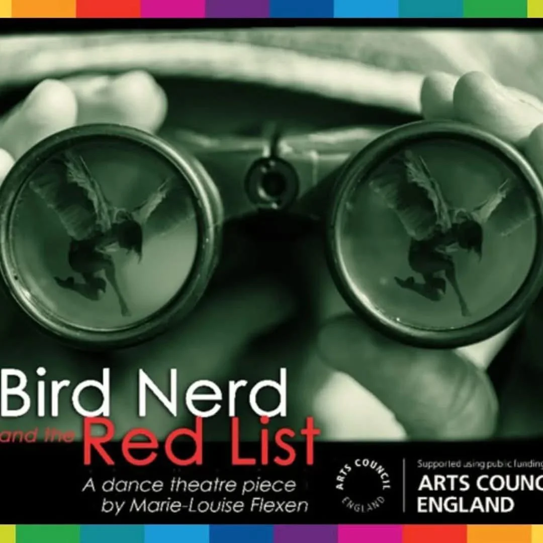 Performances BIRD NERD &amp; THE RED LIST 2026