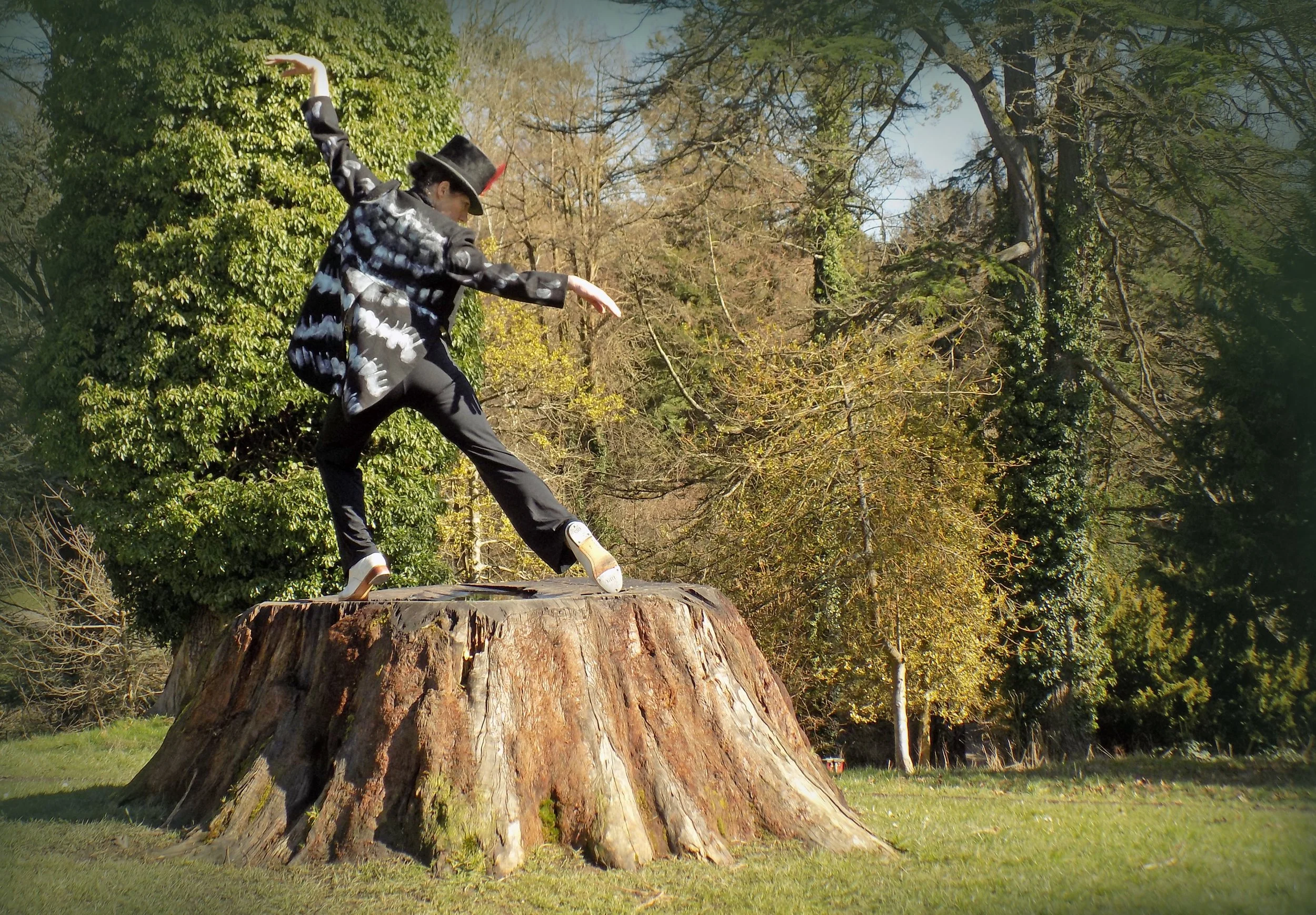 Announcing 'Bird Nerd &amp; The Red List' performances for Gloucestershire Wildlife Trust