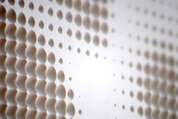 Radiolaria_08.png