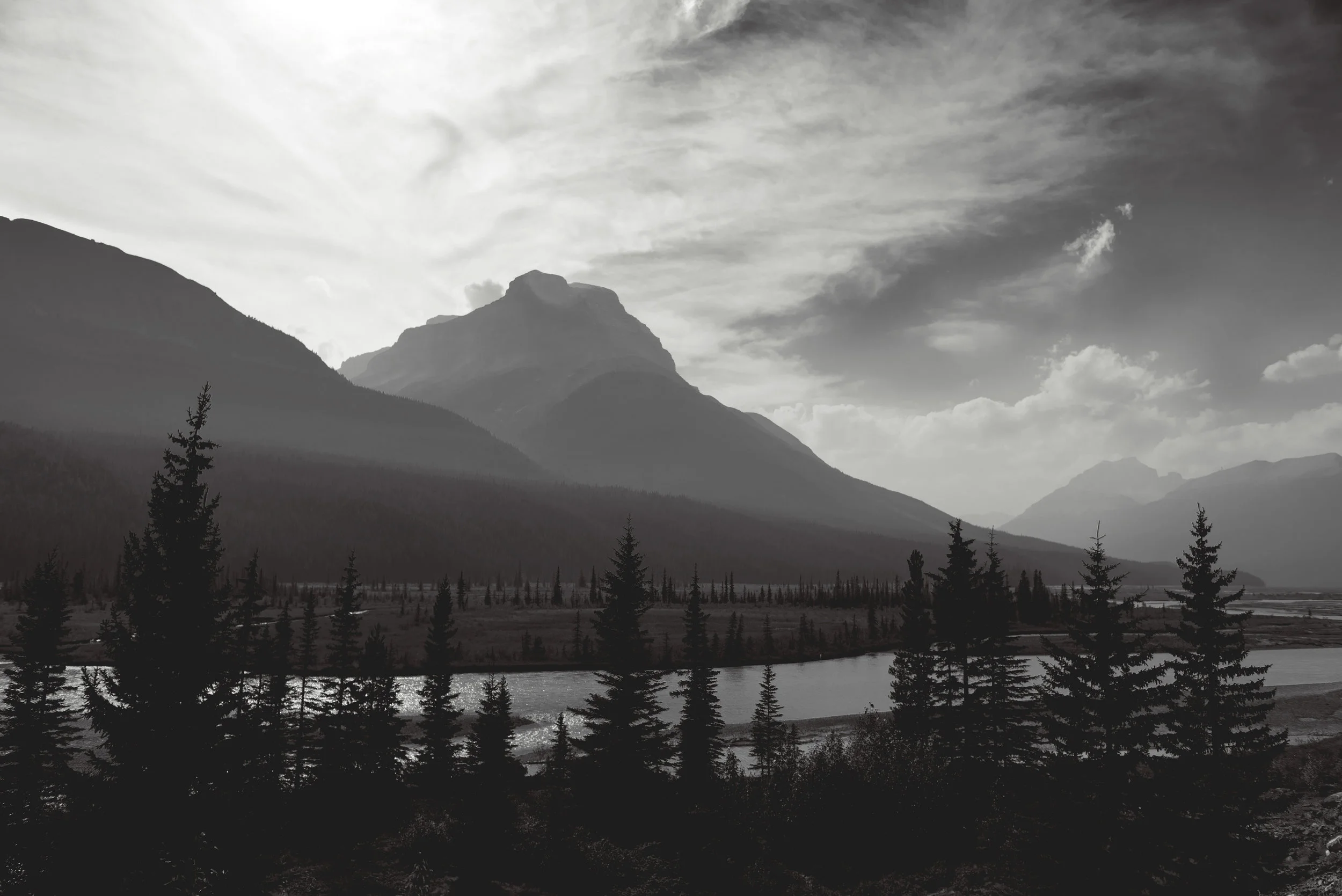 #008 JASPER KINGS