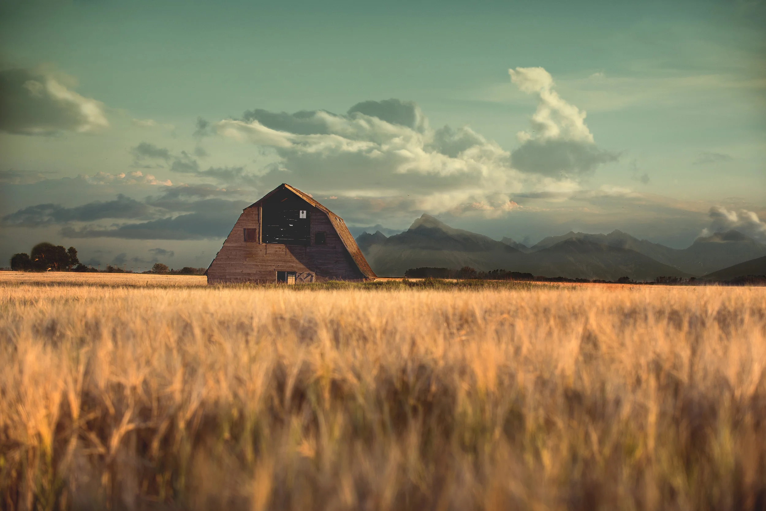 #013 WHEAT BARN